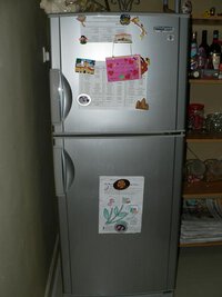 fridge1.JPG