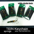 tein-keychain-springs.png