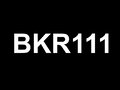 BKR111 SMALL.jpg