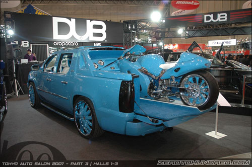 DSC_2817b.jpg