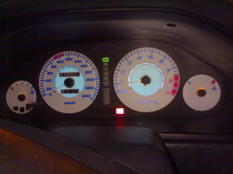04082007197.jpg