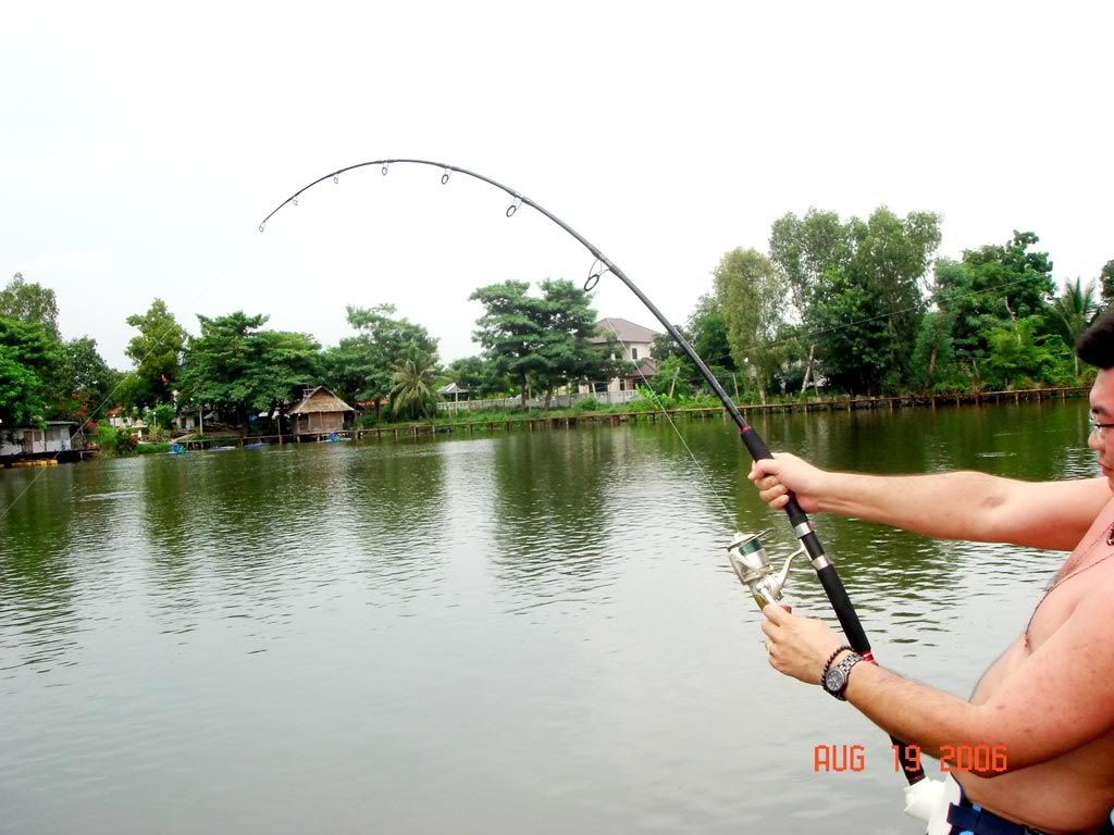 action_19.jpg
