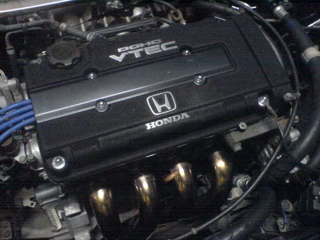b16.jpg