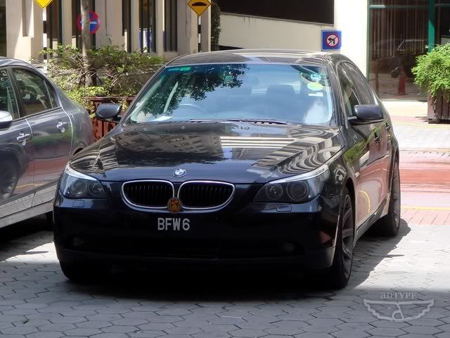 BFW6-BMW520i.jpg