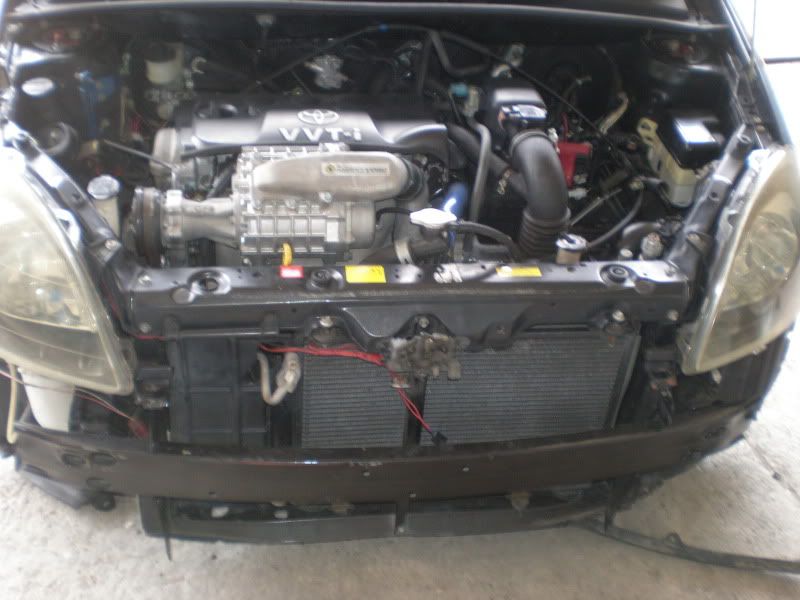 CopyofP3220002.jpg