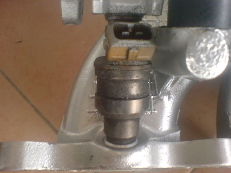 DSC00041.jpg