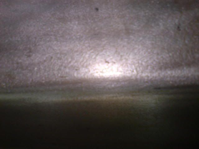 DSC00804.jpg