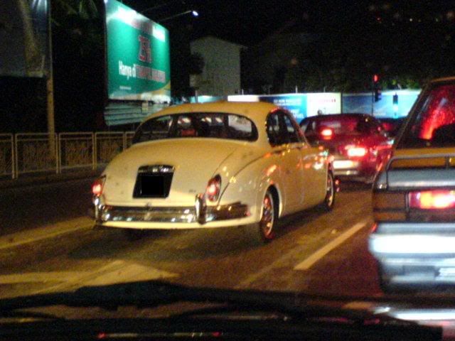 DSC01374.jpg