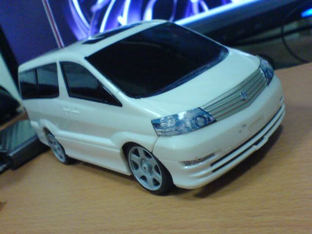 DSC02556.jpg