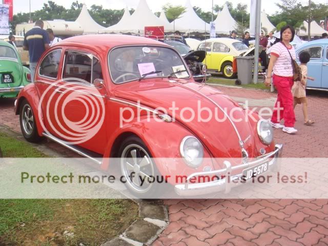 DSC03346.jpg