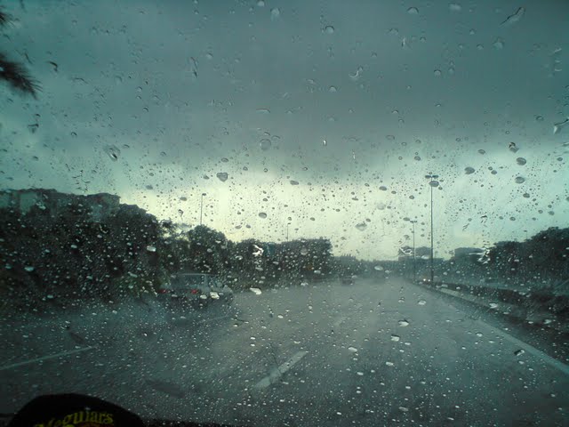 DSC09144.jpg
