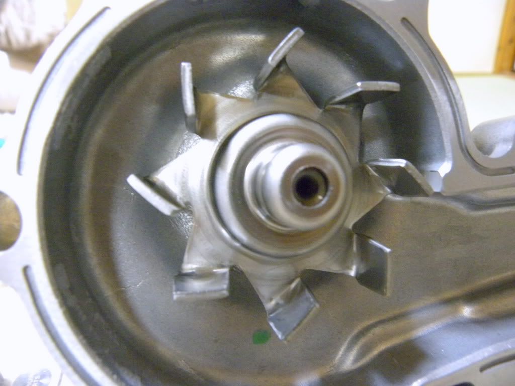 DSCN2636.jpg