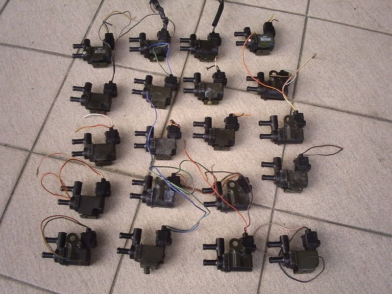 ficd20biji.jpg
