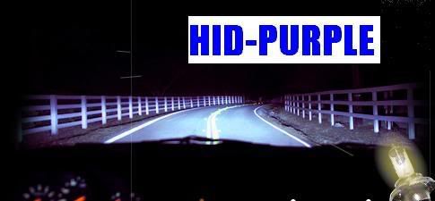 hid-purple.jpg
