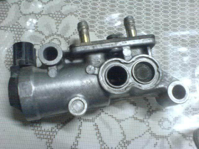 iacv1.jpg