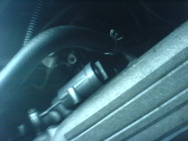 iacv3.jpg