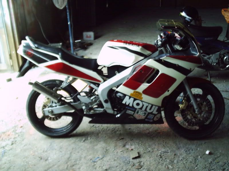IMAG0019.jpg