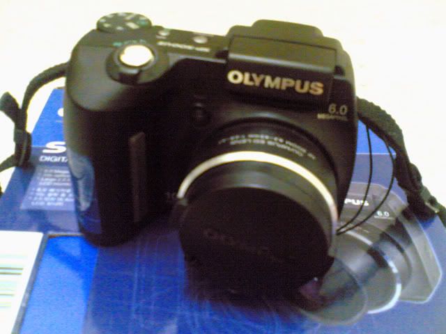 ImageA033.jpg