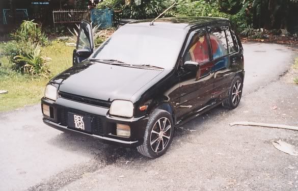 kancil5.jpg