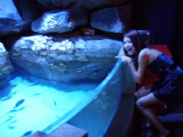 KLCCAquaria1.jpg