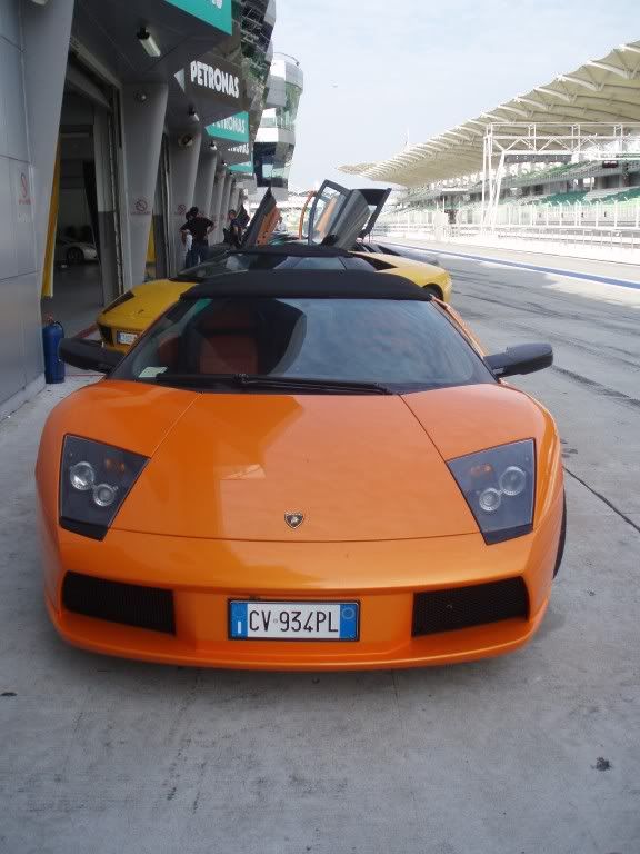 lambo1.jpg