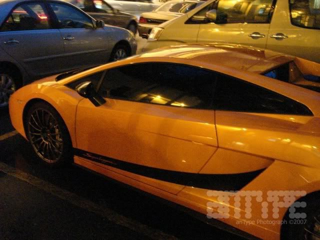 lambo_sleg_2.jpg