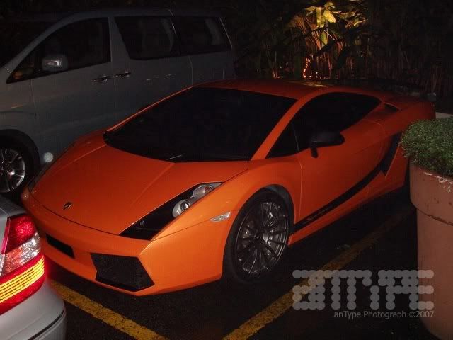 lambo_sleg_5.jpg