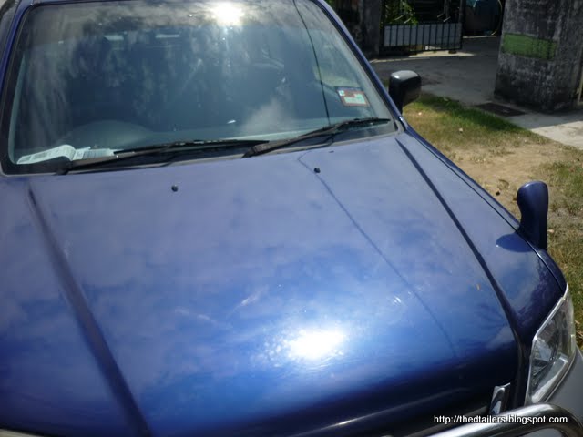 P1010147.jpg