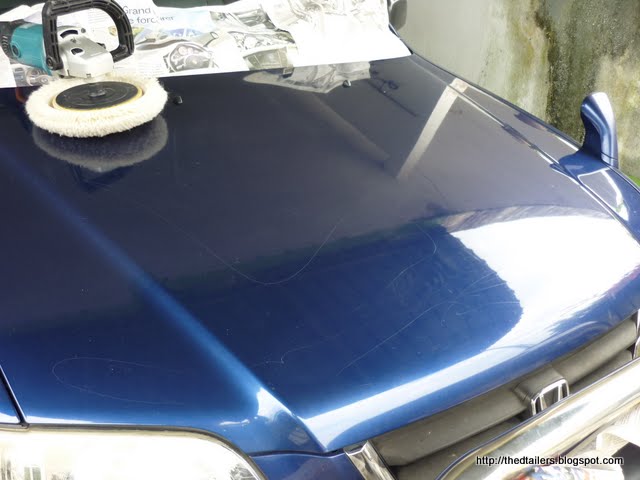 P1010240.jpg