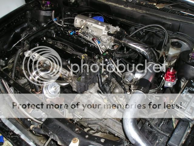 Picture001.jpg
