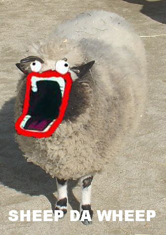 sheep_da_wheep.jpg