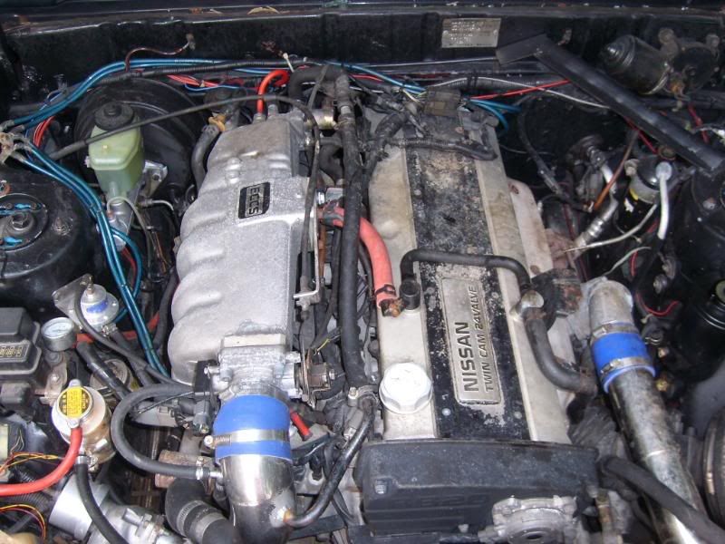 SL270006.jpg