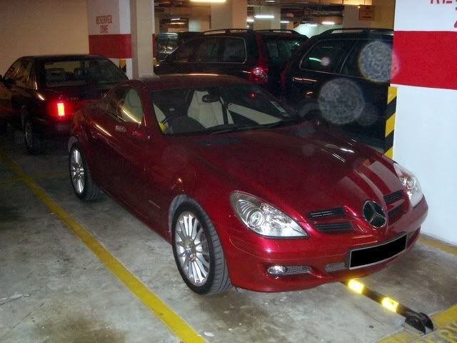 slk3501.jpg