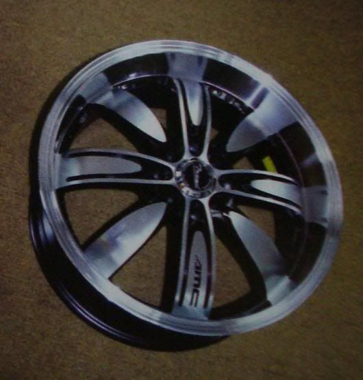 trendm85071.jpg