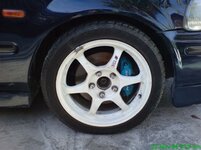 DSC00135a.jpg