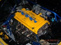 yellow.jpg