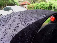 Supra Beading.jpg
