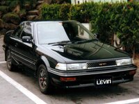 AE92 Levin Body Parts.jpg