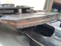 20120904_104445.jpg