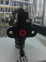 IMAG0431.jpg