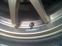 IMG01475-20120907-1027.jpg