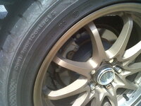 IMG01476-20120907-1027.jpg