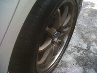 IMG01624-20121201-1025.jpg