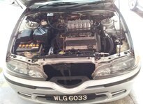 p6.JPG