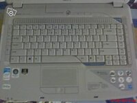 acer2.jpg