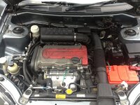 IMG_3542.JPG