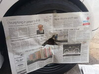 IMG-20130805-WA0010.jpg