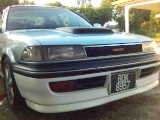 mirzagua ae92.jpg