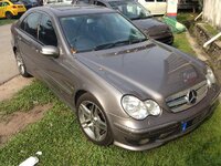 IMG_1961.jpg