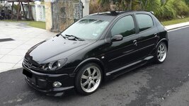 Pug 206 - Side.jpg